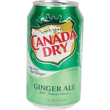 Load image into Gallery viewer, Soda Pop Can Safe
